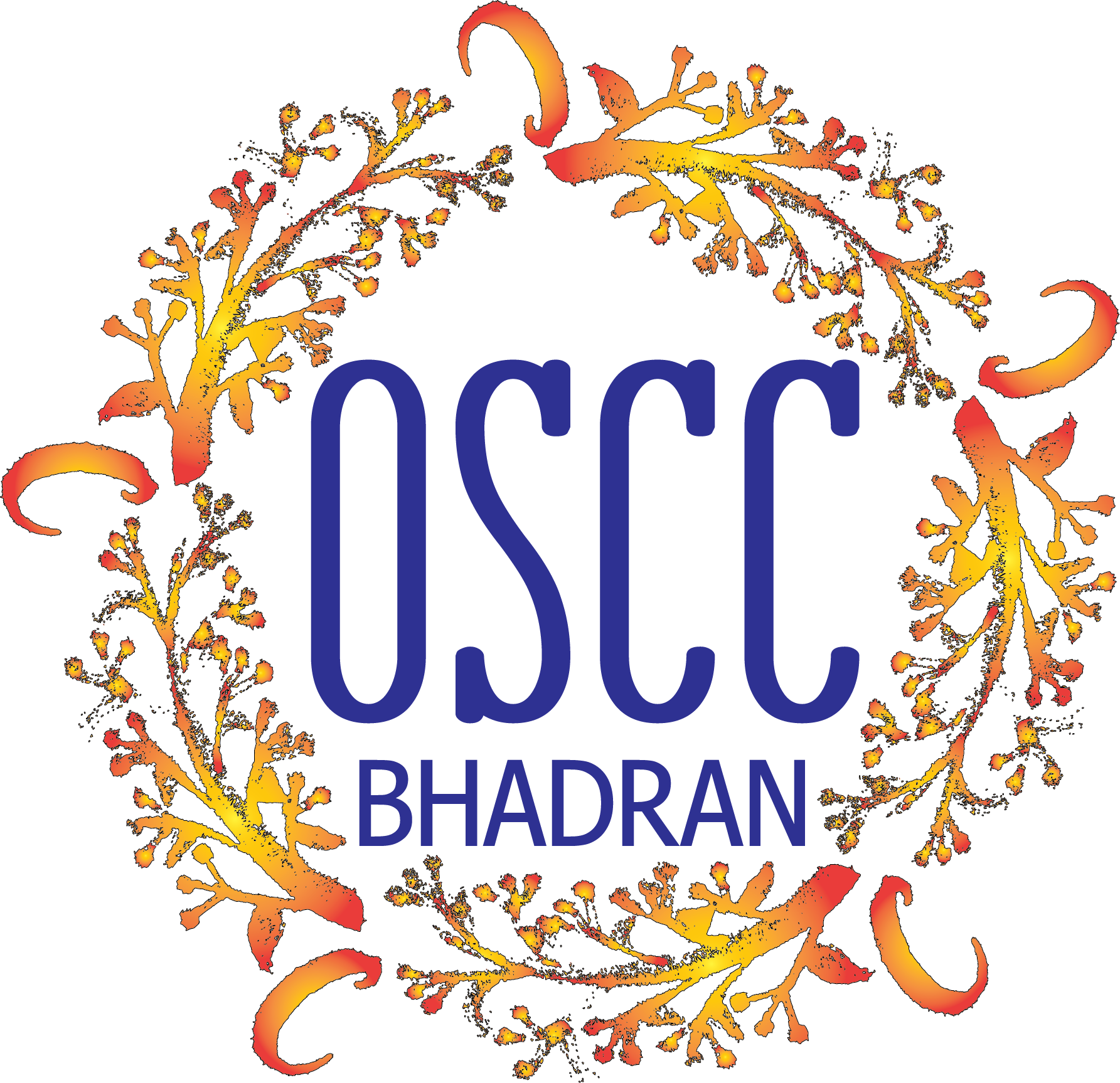 OM SAI COMPUTER CENTER