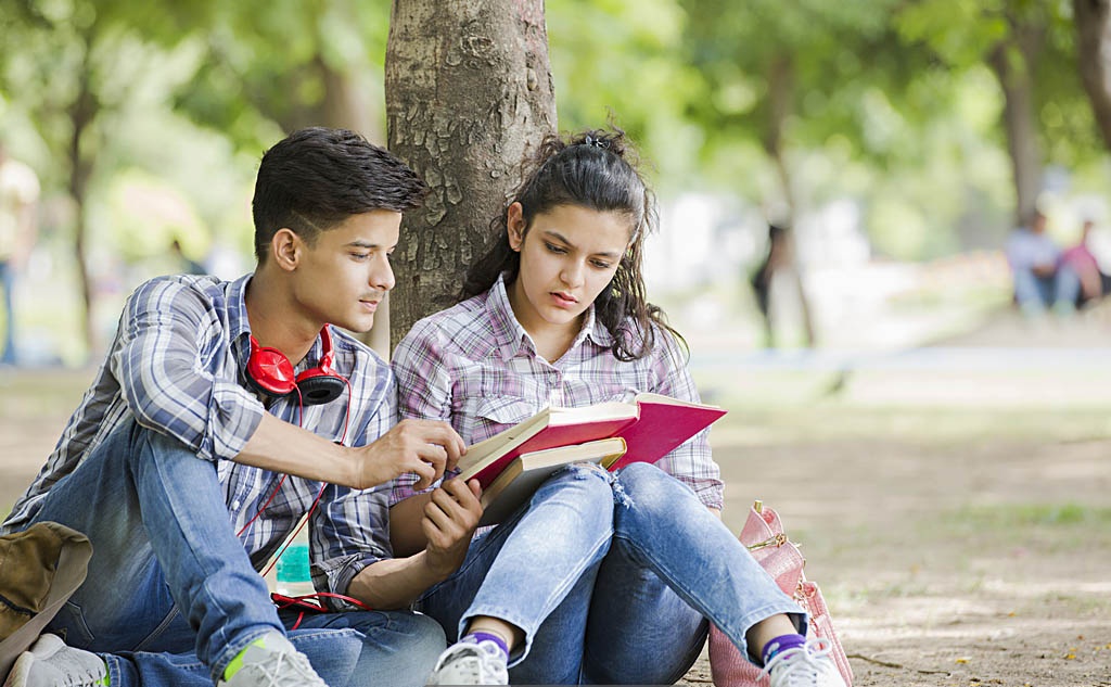 Professional computer Course After 12th Arts 100% Job