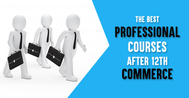 Professional computer Course After 12th Arts